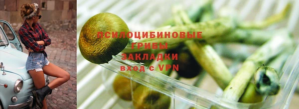 мескалин Богородск