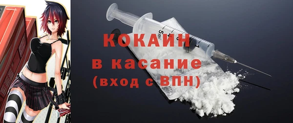 шишки Саяногорск