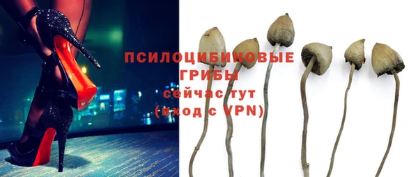 стафф Богородицк