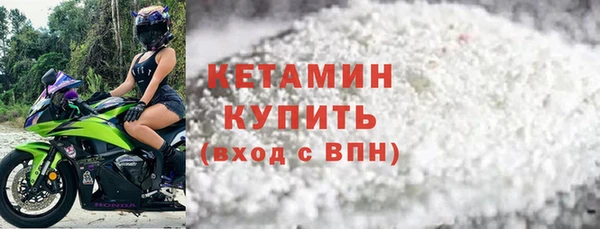 шишки Саяногорск