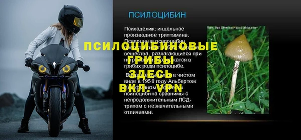 герыч Сатка