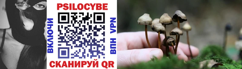 Псилоцибиновые грибы мицелий Купить закладки Алзамай